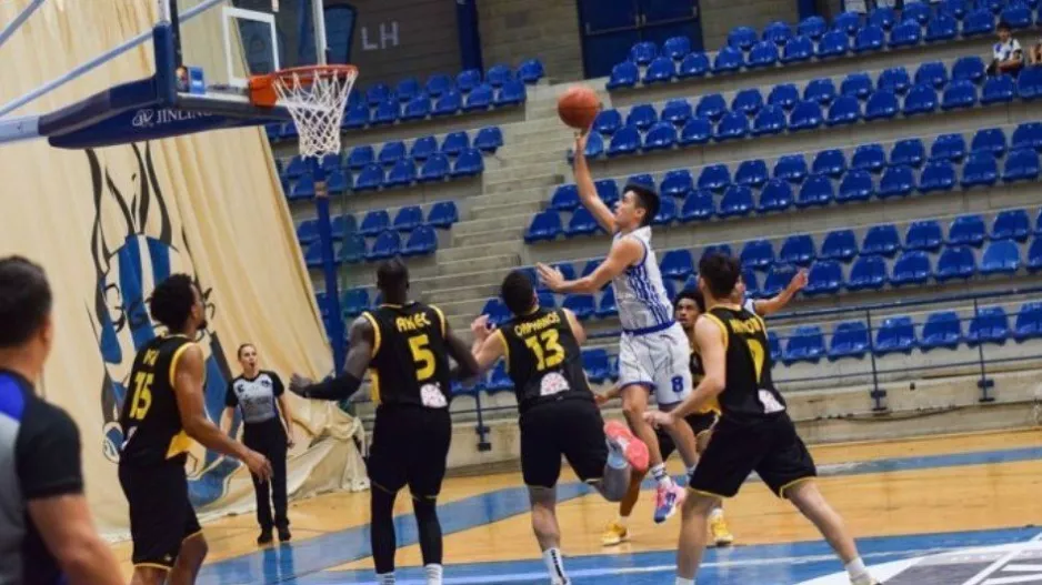 “Free Agent” o Ζντράβιτς