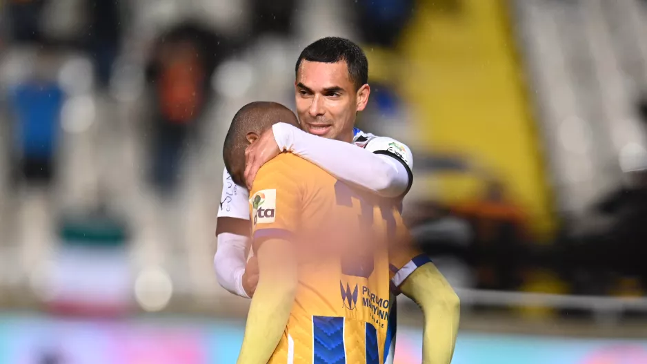 Τους ενώνει η Vannes!