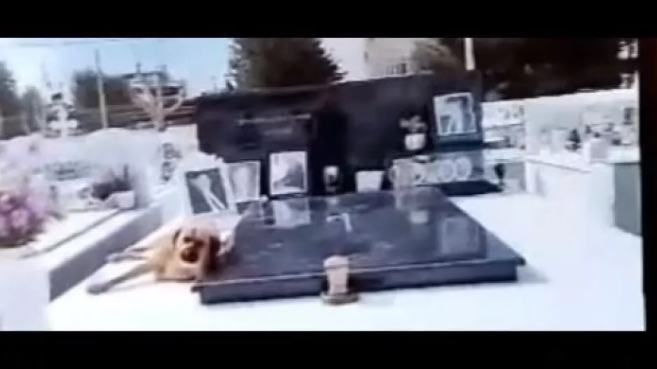 Συγκινητικό: Σκύλος δεν λέει να φύγει από το μνήμα του αφεντικού του! (βίντεο)