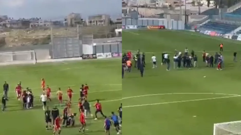 Το ξύλο της χρονιάς στο Ισραήλ (Video)