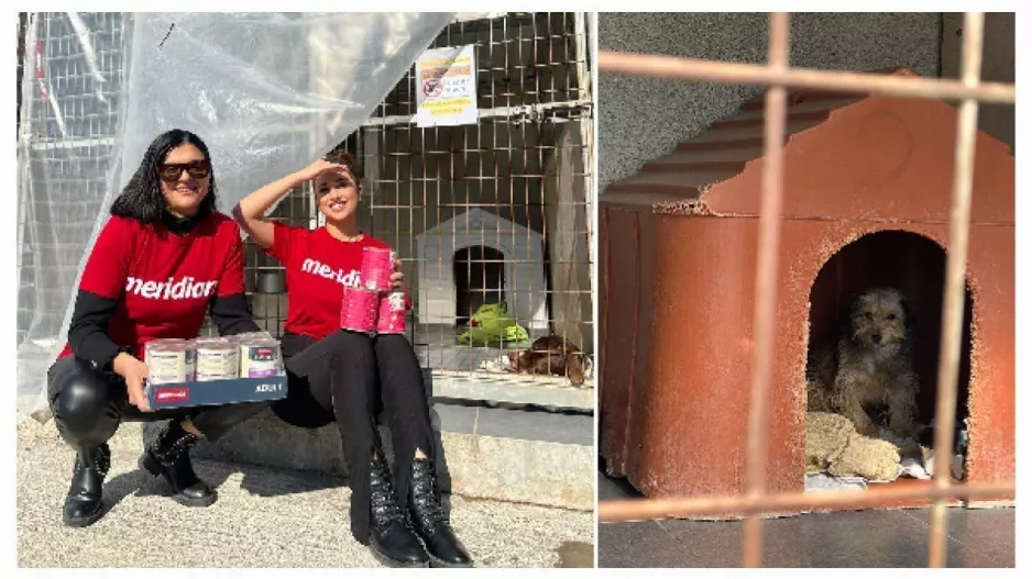 Στο πλάι του καταφύγιου Sirius Dog Sanctuary η Meridian!