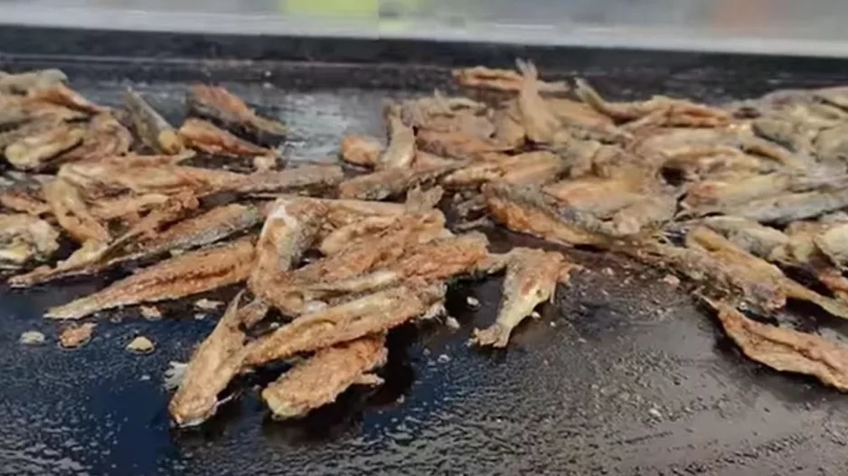Ψήνεται...