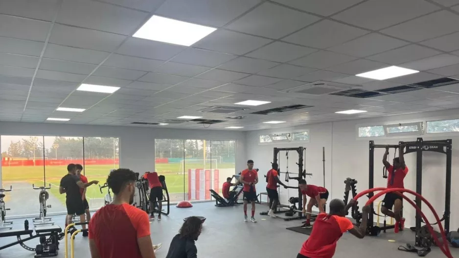 (Νέα Σαλαμίνα) Επιθετικό με διαφορετικά χαρακτηριστικά