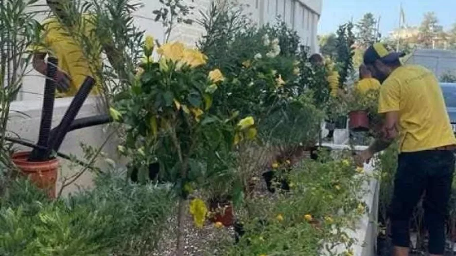 ΑΕΚ: Ξεκίνησε η δενδροφύτευση γύρω από την «OPAP Arena»