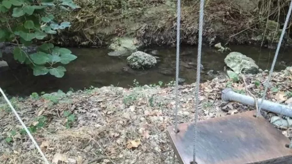 Σκύλος στην Κρήτη ήπιε νερό από ρυάκι και πέθανε από οξεία δηλητηρίαση