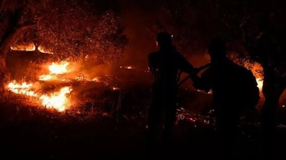 Φωτιά στον Έβρο: Μαίνεται για 8η μέρα η πυρκαγιά - Deadline δύο ημερών για την κατάσβεση στη Δαδιά
