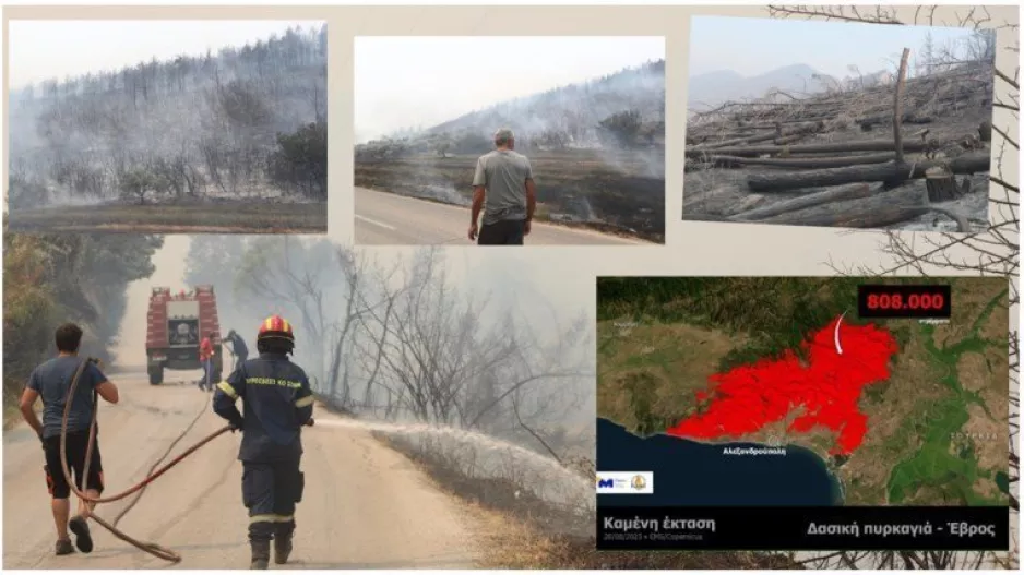Φωτιά στον Έβρο: Ατελείωτος εφιάλτης με αναζωπυρώσεις