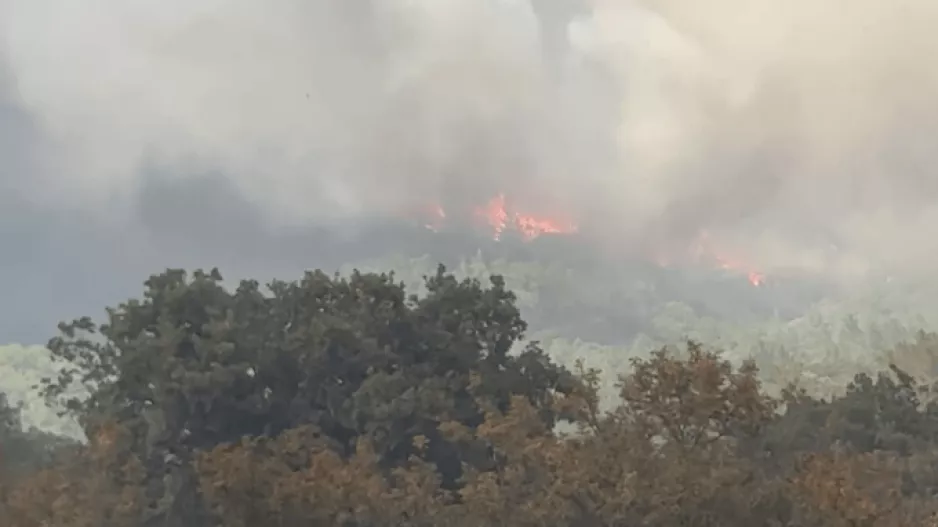 Φωτιά στην Αλεξανδρούπολη: Εκκενώνονται Νίψα, Αετοχώρι και Πεύκα (βίντεο)
