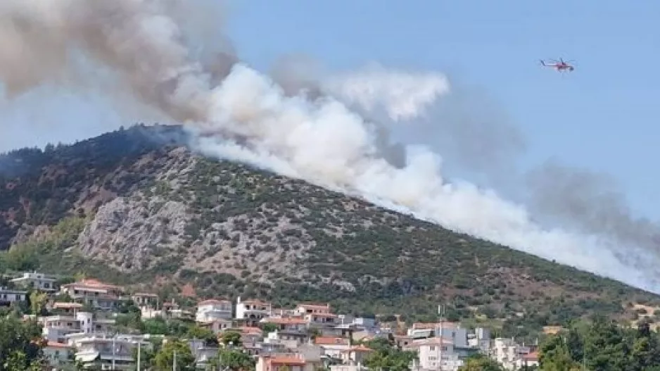 Φωτιά στον Αυλώνα: Ποινική δίωξη σε βαθμό κακουργήματος στον 45χρονο που συνελήφθη για εμπρησμό