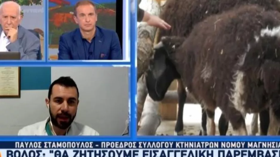 O Μπέος έβαλε ζωντανά ζώα σε φάτνες και βρίζει όσους αντιδρούν