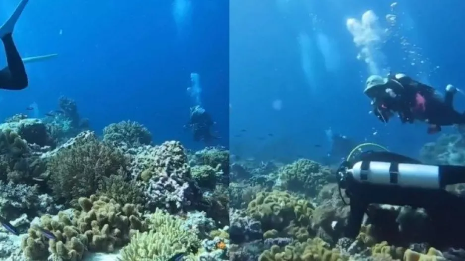 Σπάνιο στιγμιότυπο δείχνει τι συμβαίνει στον βυθό της θάλασσας όταν γίνεται σεισμός (βίντεο)