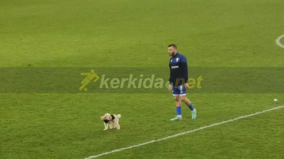 Πανηγύρισε με τον... Τσίνο!