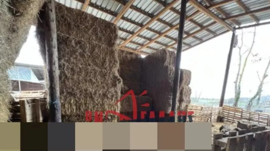Πνίγηκαν ζώα σε στάβλο στην Πιερία από την έντονη βροχόπτωση