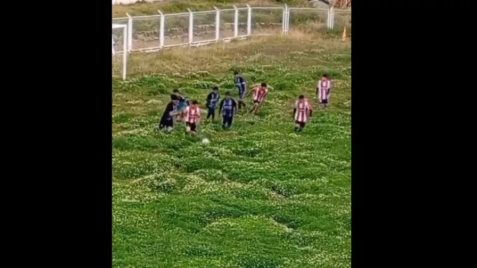 Στο Περού πήγαν την έννοια γήπεδο-χωράφι σε άλλο επίπεδο - Η μπάλα χανόταν μέσα στους θάμνους!