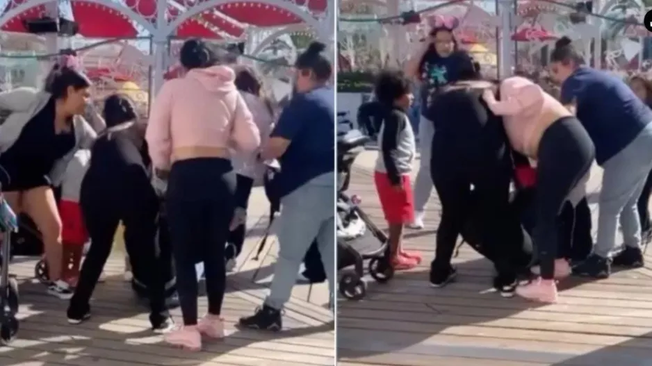 Άγριο ξύλο μαμάδων στην Ντίσνεϊλαντ της Καλιφόρνια (βίντεο)