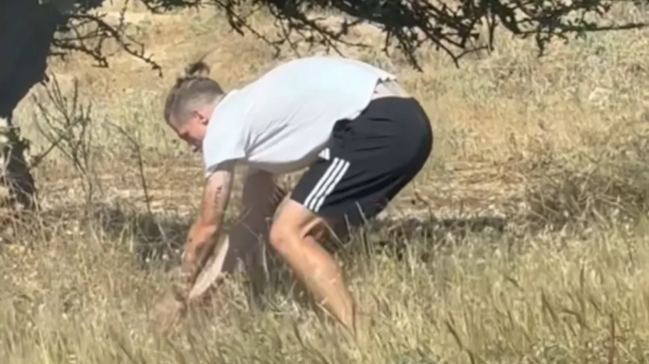 Ο Γεντβάι απομάκρυνε μία χελώνα από τη μέση του δρόμου για να μην την χτυπήσει κάποιο αυτοκίνητο