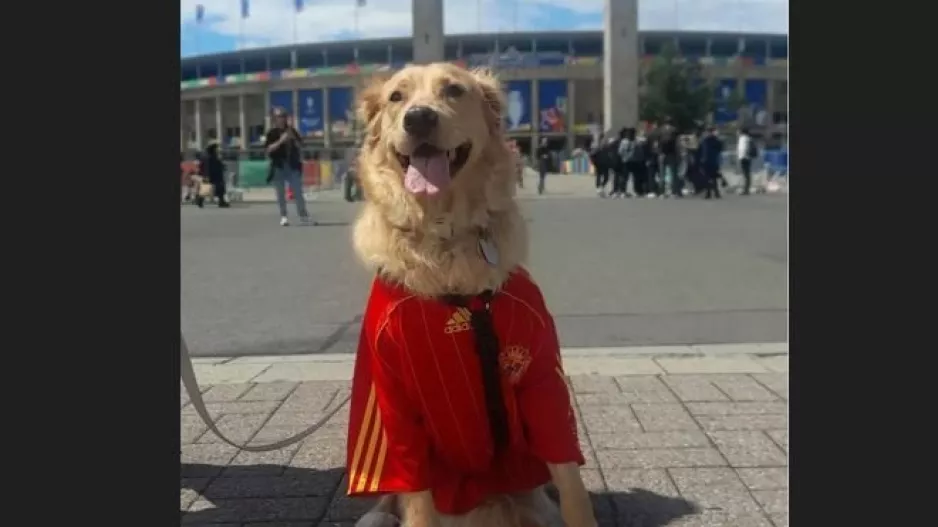 Ωραίος... ο φίλος!