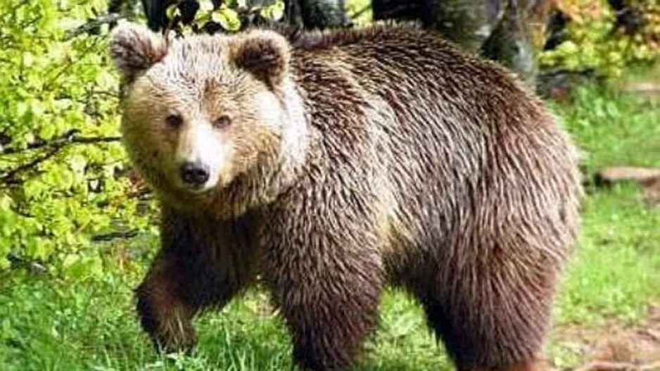 Αγριεμένη...