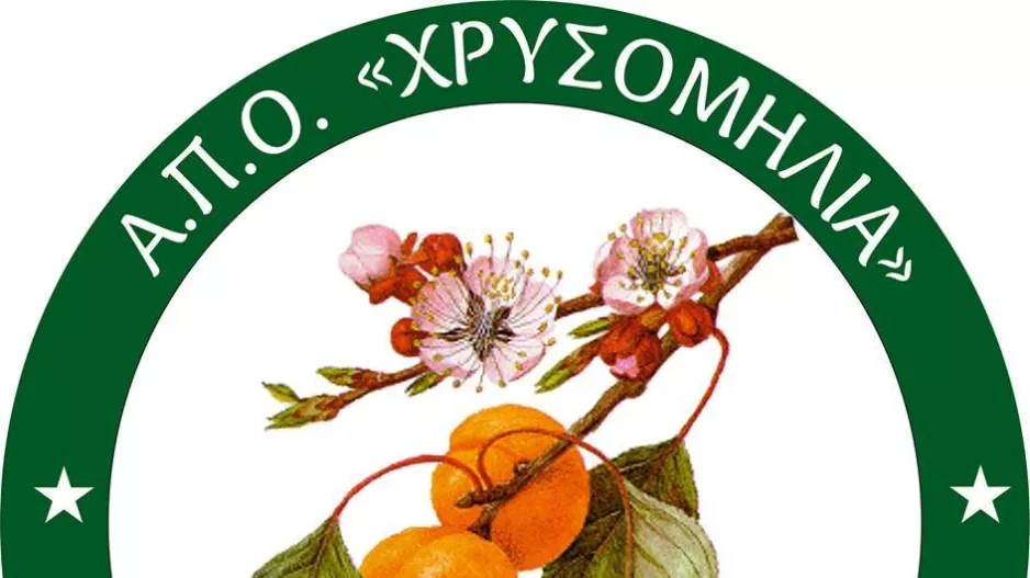 Άσχημο νέο/Αναστολή λειτουργίας της ομάδας γυναικών