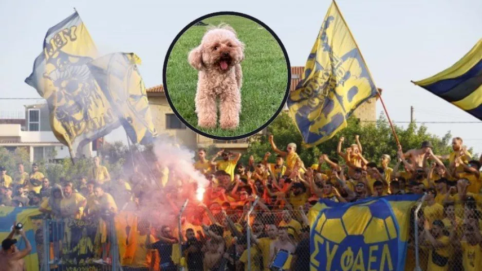 Η Kaya είναι... ΑΕΛ!