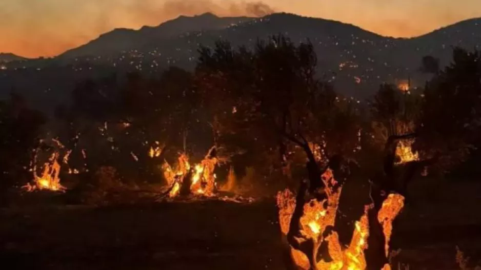 Πολύ υψηλός κίνδυνος πυρκαγιάς την Παρασκευή στην Αττική και άλλες τρεις περιφέρειες