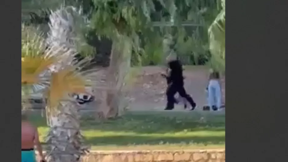 (ΒΙΝΤΕΟ) Η στιγμή της σύλληψης του "κομμωτή"