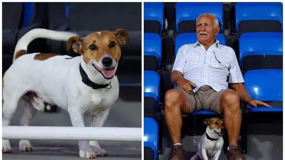 ΤΟΠ... από το Δασάκι!