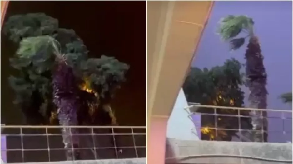 (ΒΙΝΤΕΟ) Η στιγμή που... ξεριζώθηκε δέντρο στο "Στ. Κυριακίδης"!