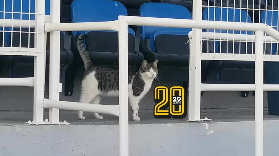 Πήρε θέση στις κερκίδες, η "Νίνα" και περιμένει