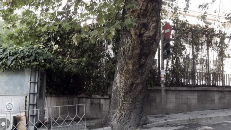 Θεσσαλονίκη: Βόμβες μολότοφ σε αστυνομικές δυνάμεις έξω από το τουρκικό προξενείο