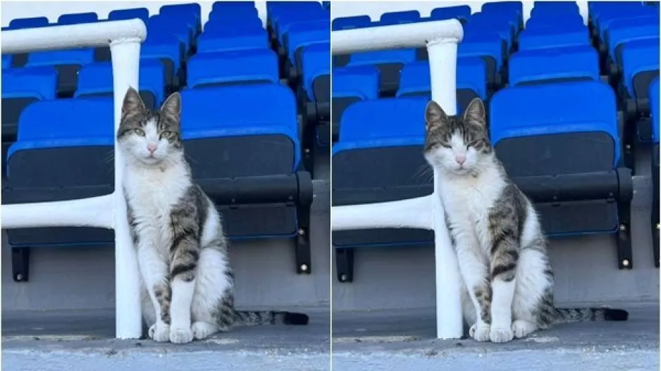Παιχνίδια... με τον φακό!