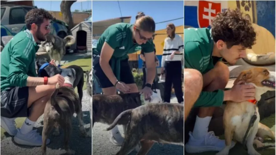 Άρης/Στιγμές με... σκύλους 
