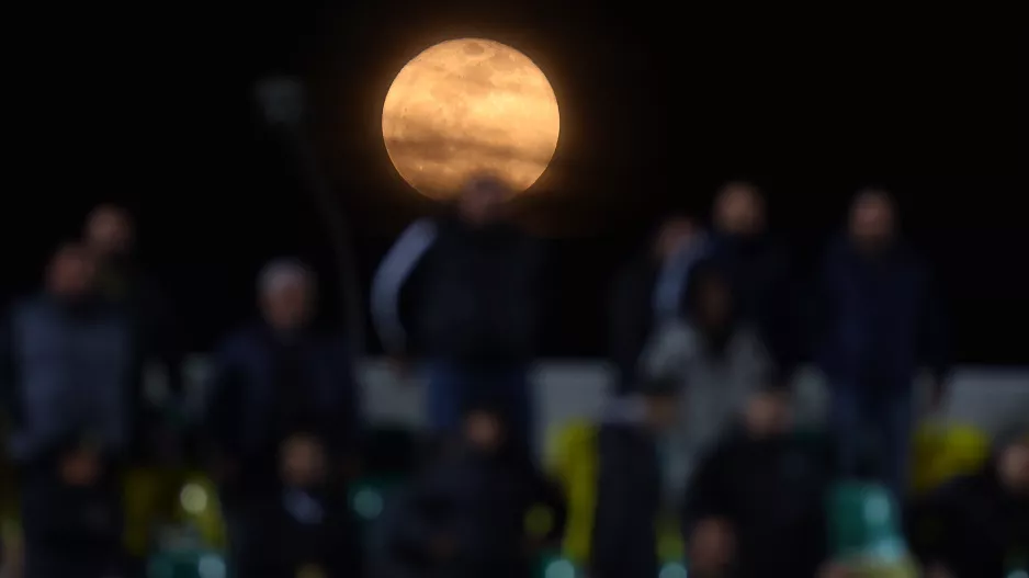 ΦΩΤΟ από Αρένα 