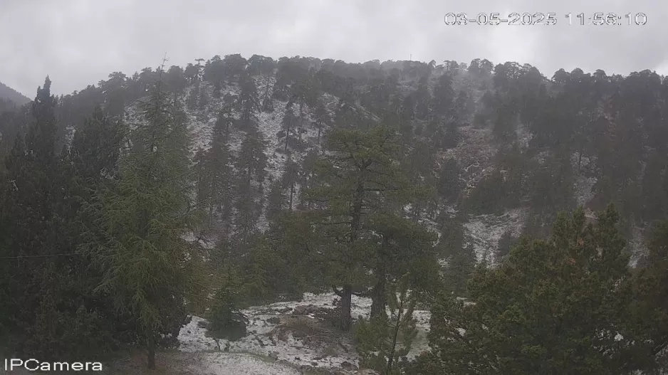 🌩️ Άσπρισε ελαφρώς το Τρόοδος!