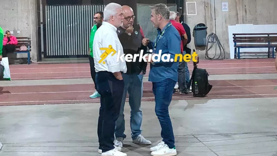 Η ΑΠΟΦΑΣΗ Παπασταύρου...