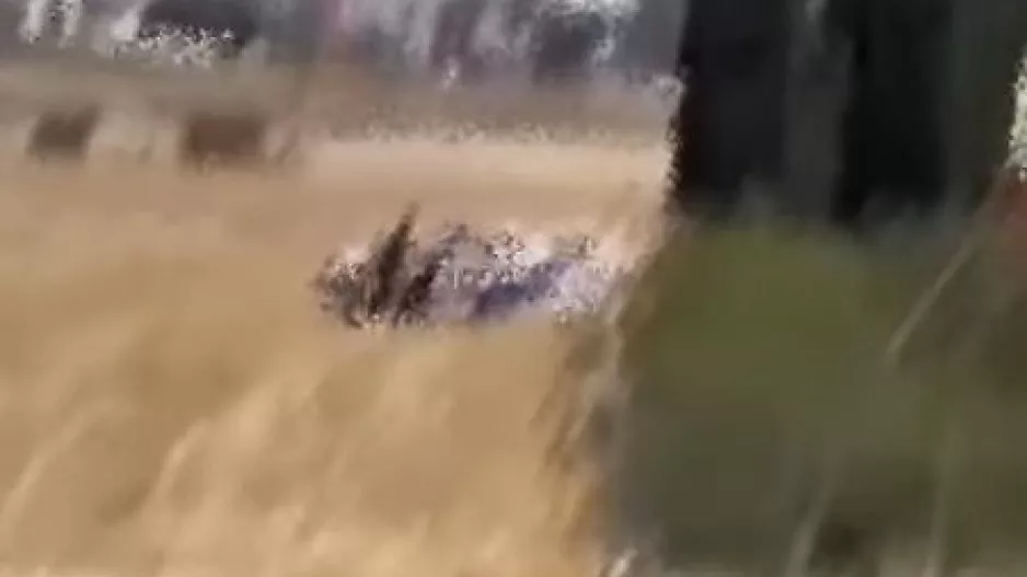 Σάλος με ροζ βίντεο μέσα σε περιπολικό