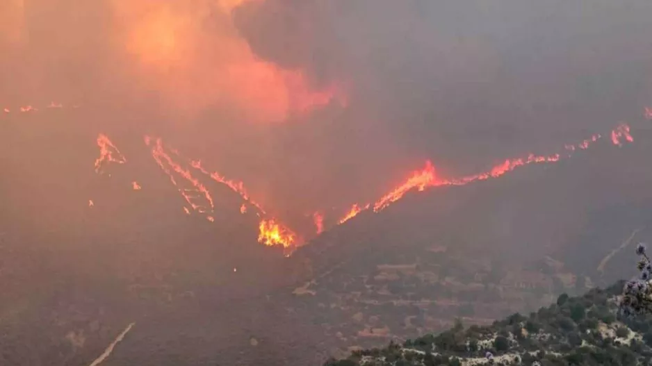 Σκληρή αυτοκριτική