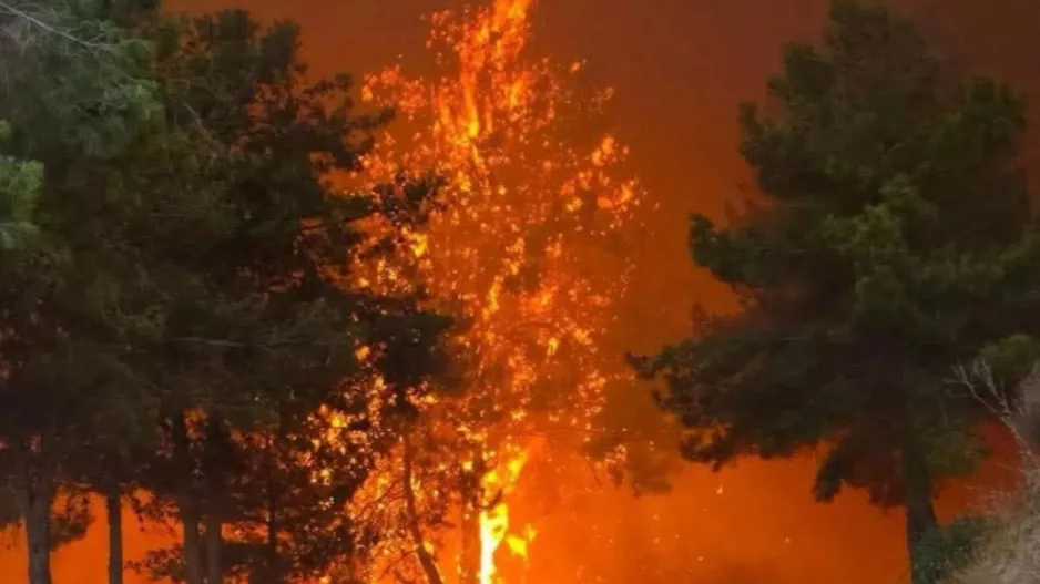 "Δύναμη και κουράγιο σε όλο τον κόσμο"