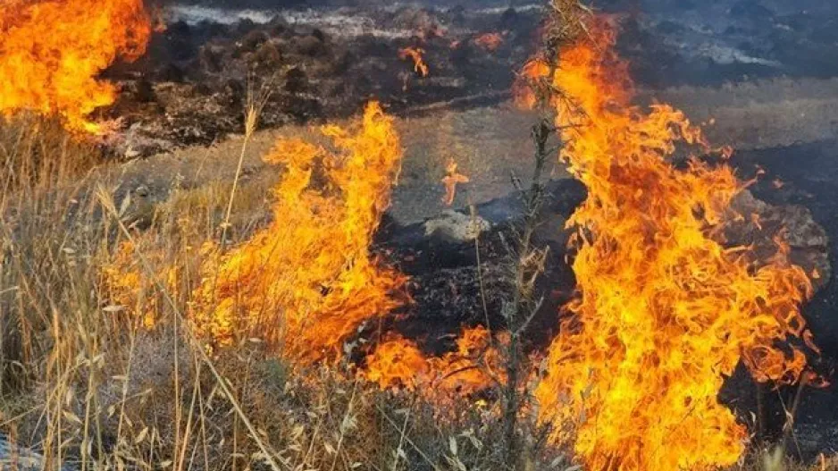Πύρινος λογαριασμός: Το βαρύ οικονομικό τίμημα των πυρκαγιών
