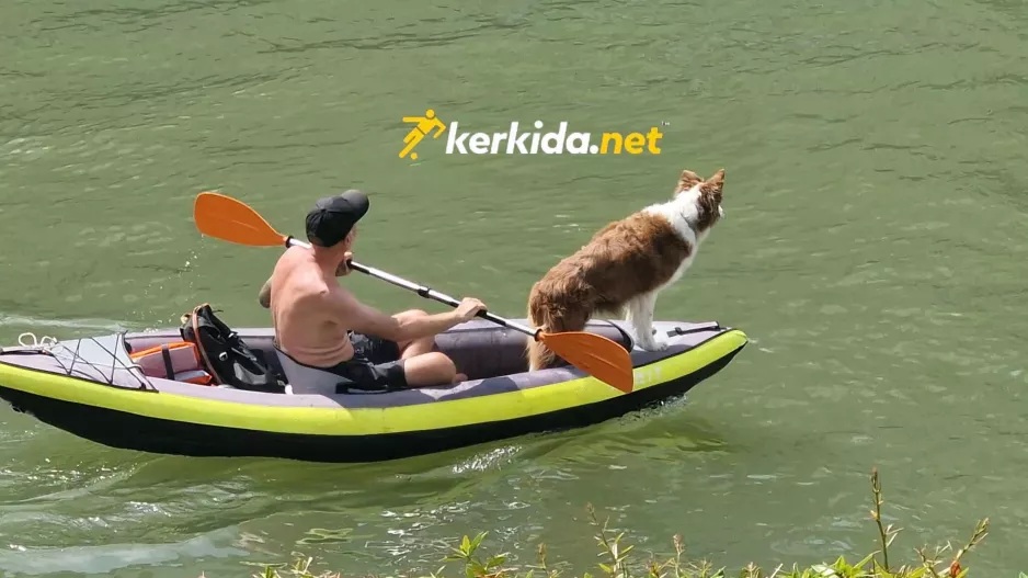 (Φώτος Kerkida) Σκύλος… κωπηλάτης 