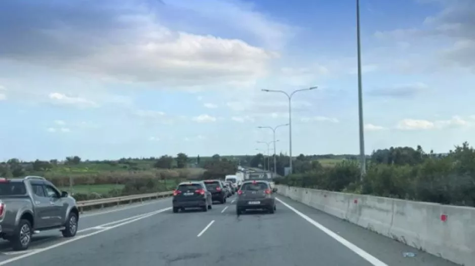(UPD) Εντοπίστηκαν τα αιγοπρόβατα 