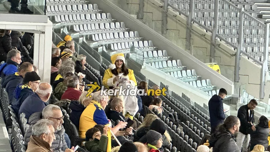 Κίτρινη… Αγιοβασιλίνα (φώτος)