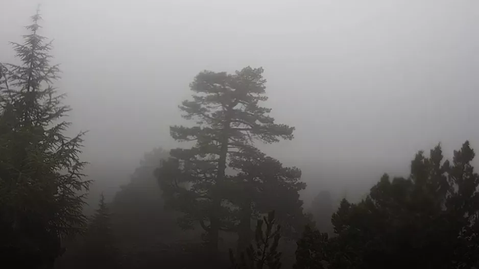 (Xάρτης) Μέχρι -6!!!
