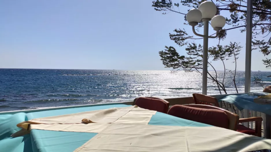 Έκοψαν "την μούττη" μαζί... Παπασταύρου,Μπεργκ, Σίμος
