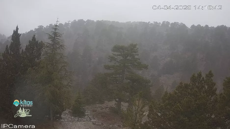 🌨️ Χιονίζει