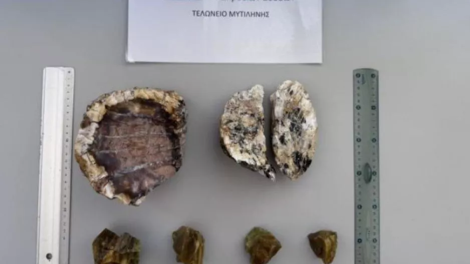 Ολλανδοί έκλεψαν κομμάτια από το Απολιθωμένο Δάσος και επιχείρησαν να τα περάσουν από το αεροδρόμιο