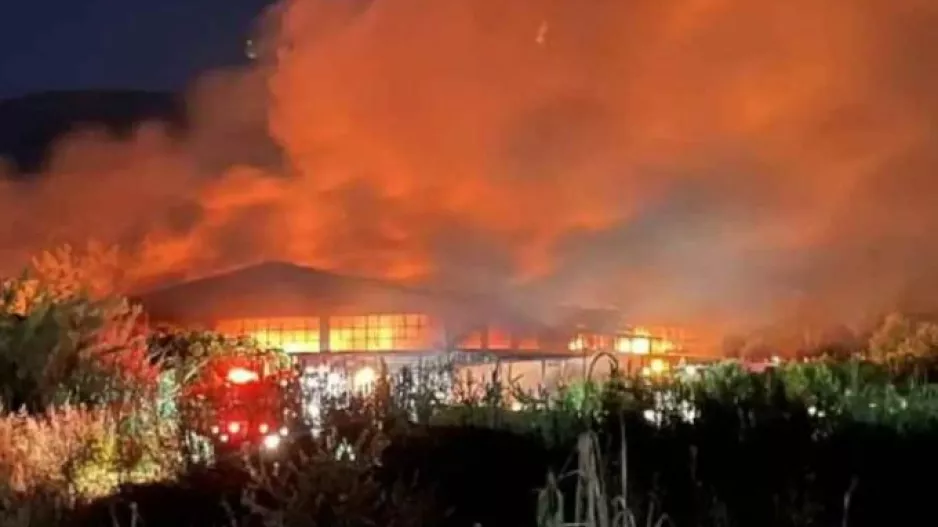 Μεγάλη φωτιά σε επιχείρηση ξυλείας στην Καλαμάτα