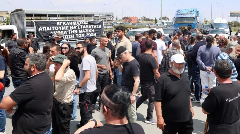 Κτηνοτρόφοι βρίσκονται στην Πάχνα για να αποτρέψουν τις θανατώσεις ζώων