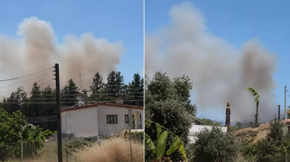 Πυρκαγιά στα Πυργά κοντά σε κατοικημένη περιοχή (Βίντεο)