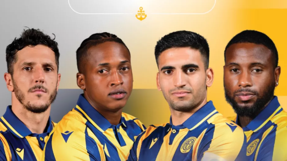 Ιnternational Lions!